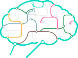 brain